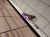 IMG_3922.jpeg